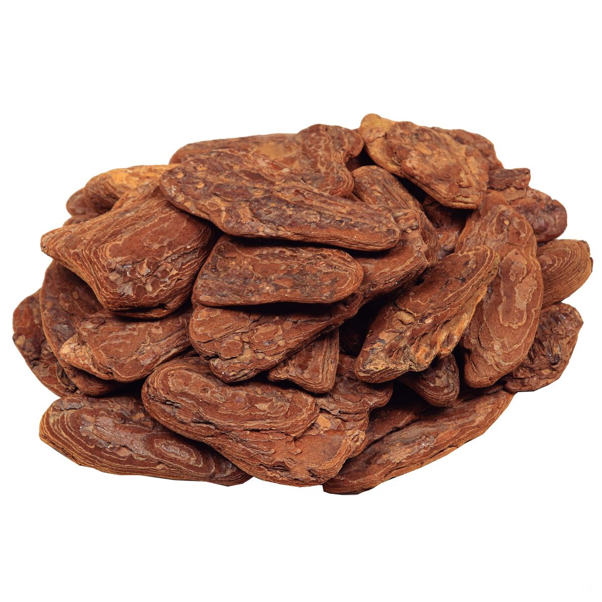 Casca de Pinus Polida Tamanho G 1kg