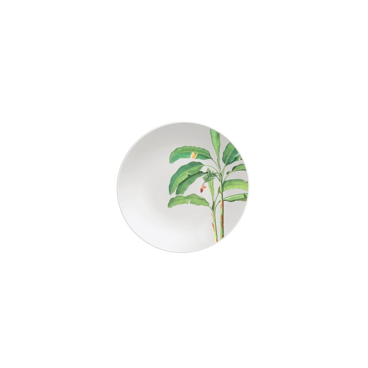 Kit Prato Sobremesa Graziela em Porcelana Decorada 19 cm 06 Peças