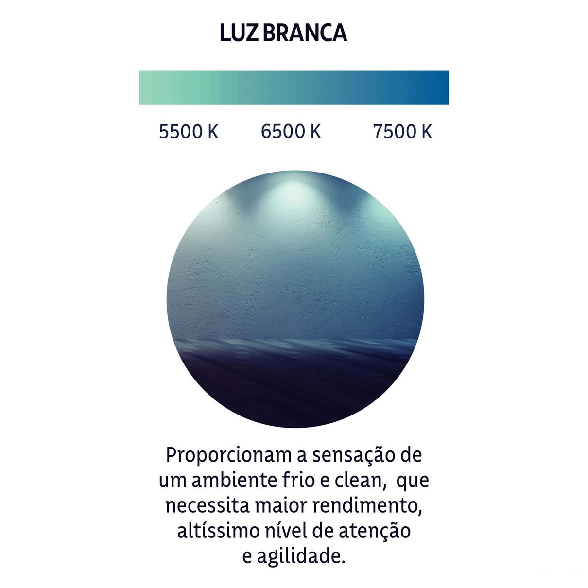 58025027ixpa001