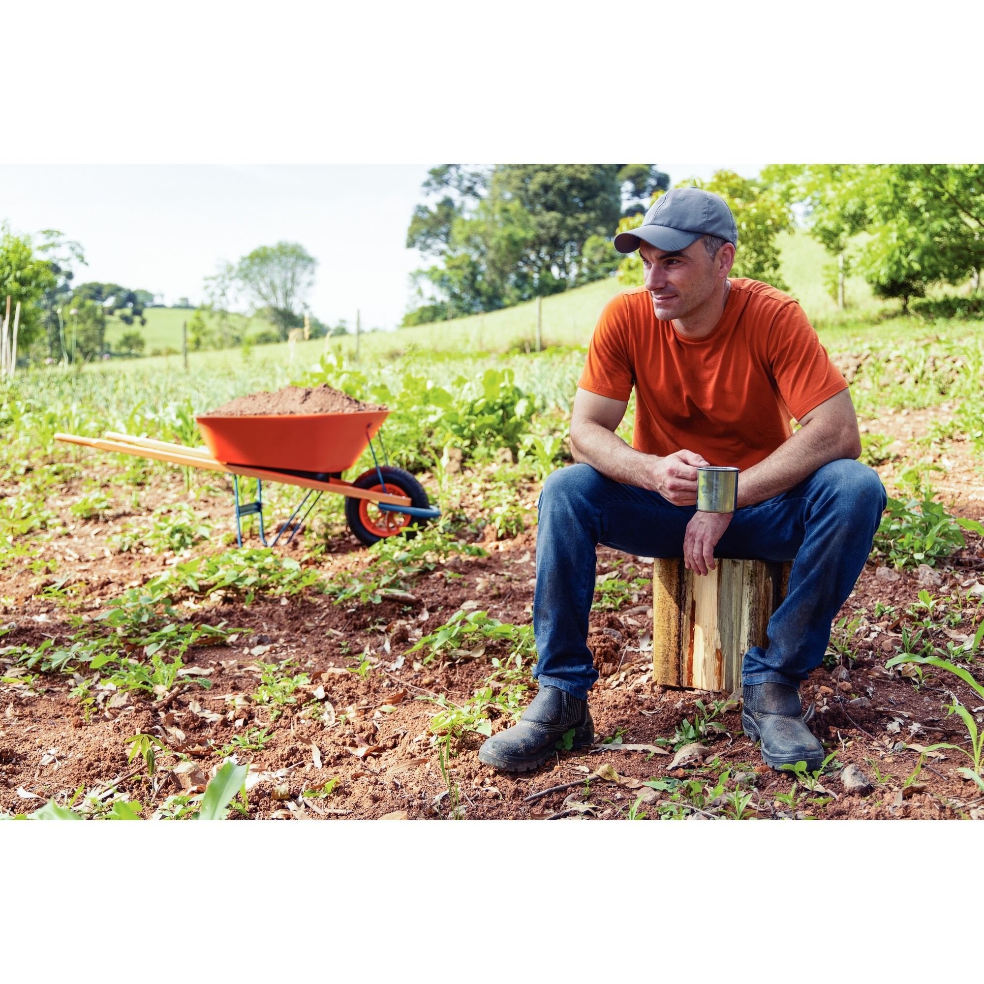Carrinho Mão Tramontina Caçamba Funda Plástica Laranja 55 L, Braço